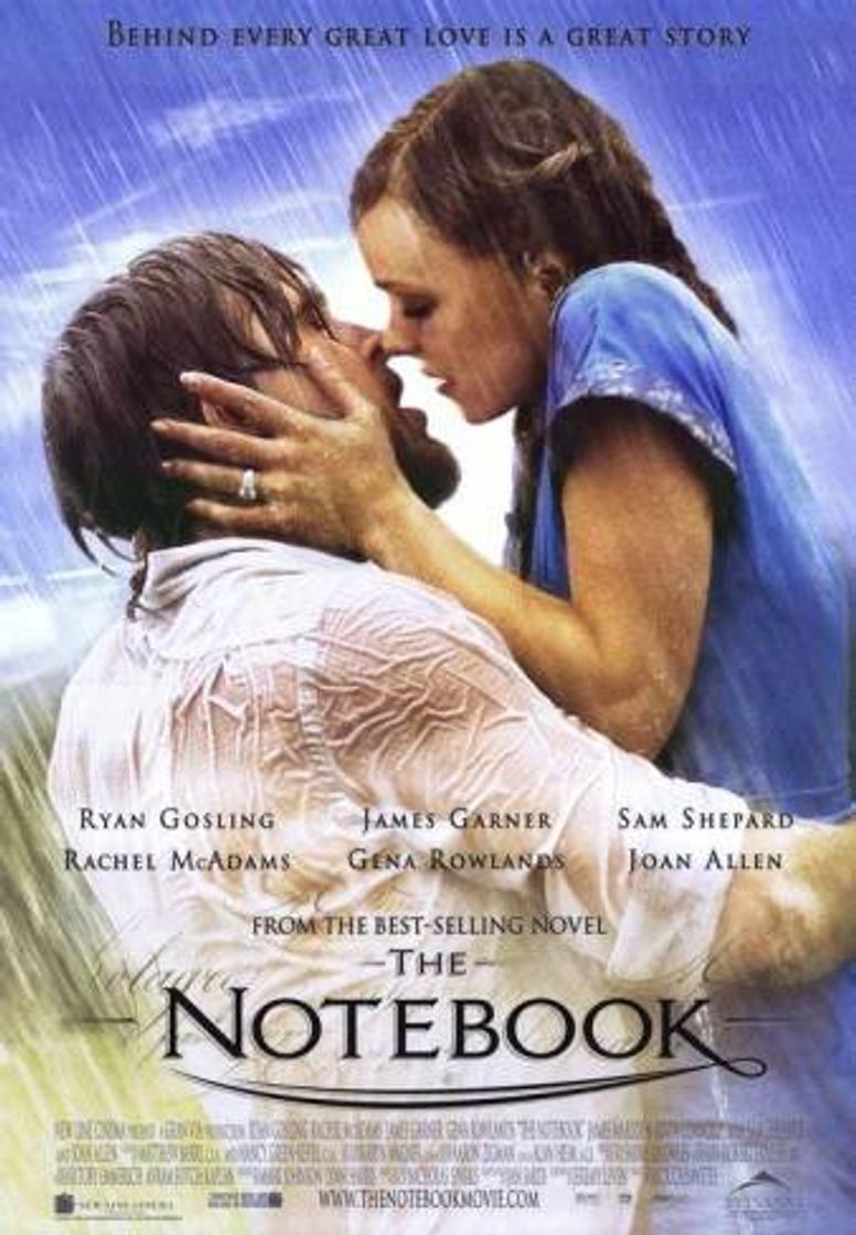 Películas Filme:Diário de uma paixão(the notebook)