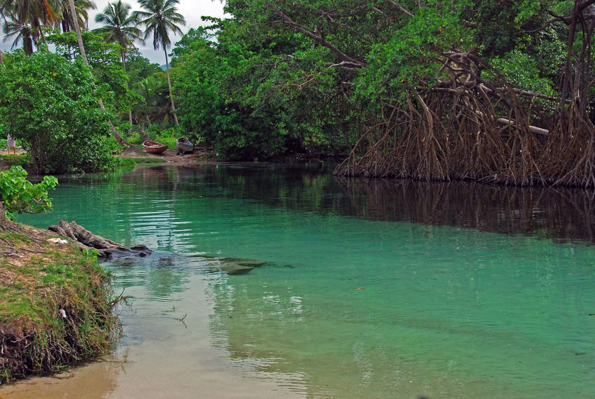 Lugares Caño Frío