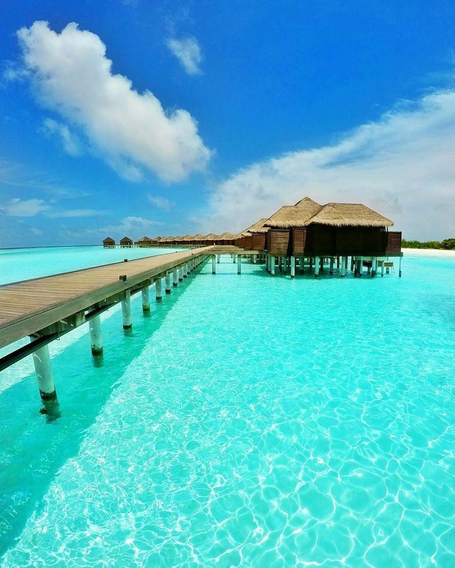 Place Anantara Veli Maldives Resort