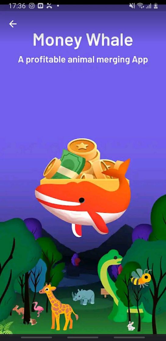 App Money Whale