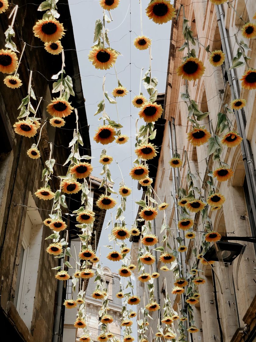 Place Avignon