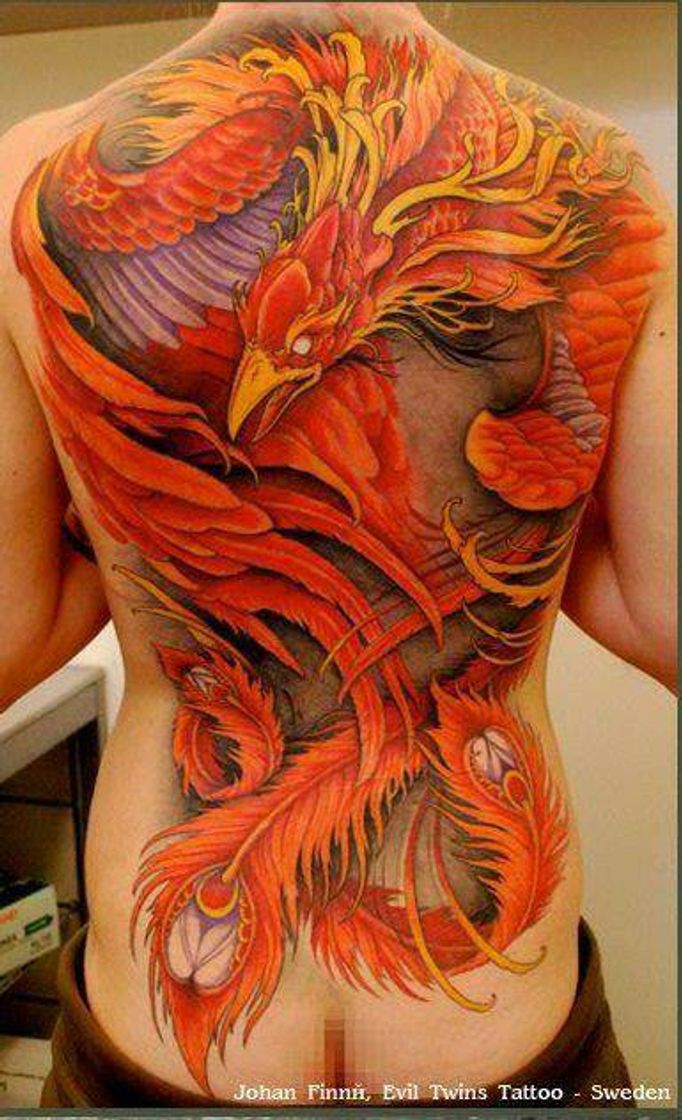 Moda Tatoo