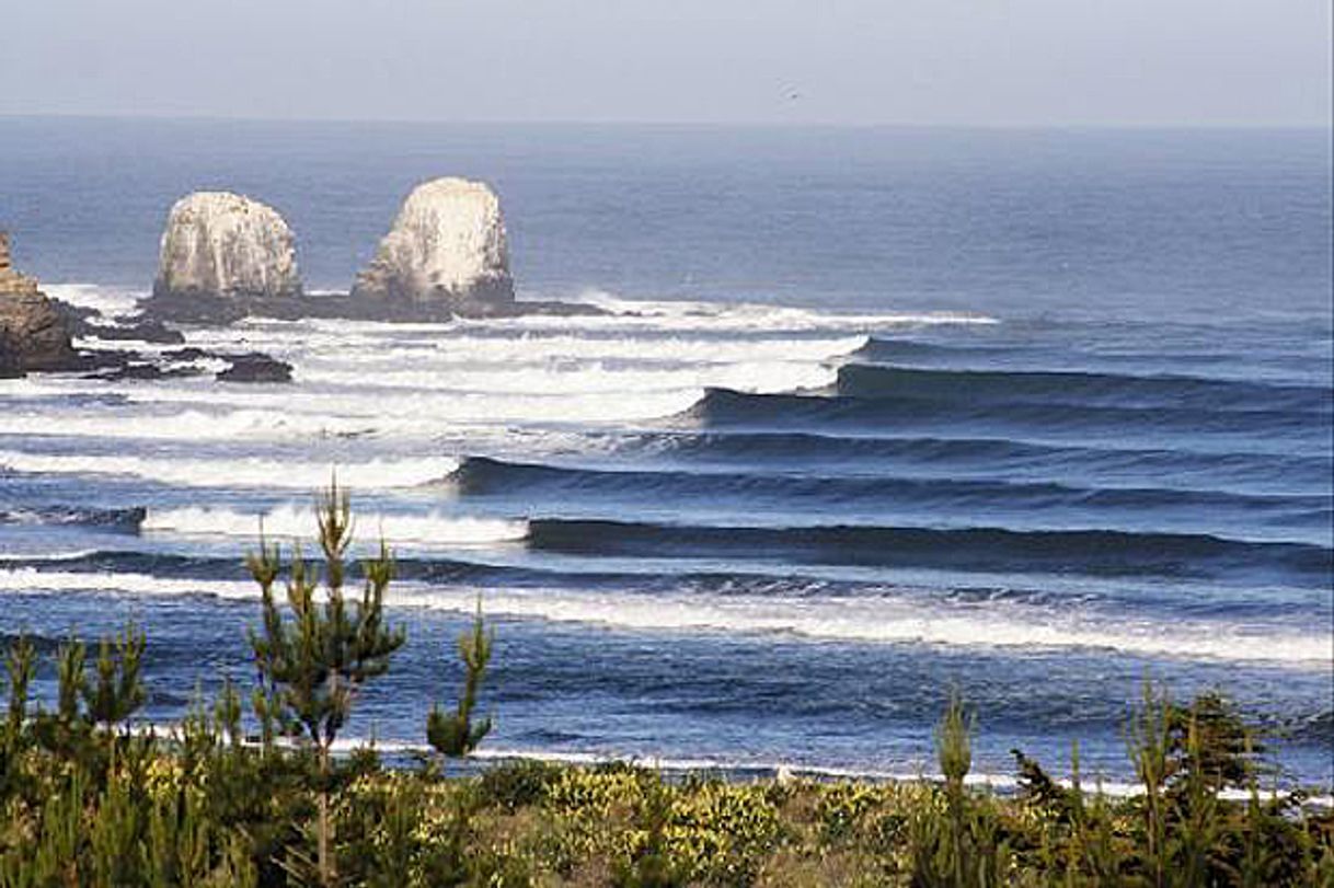 Place Punta de Lobos