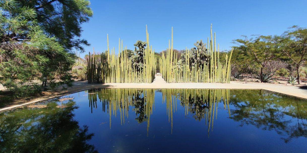 Place Jardín Etnobotánico de Oaxaca