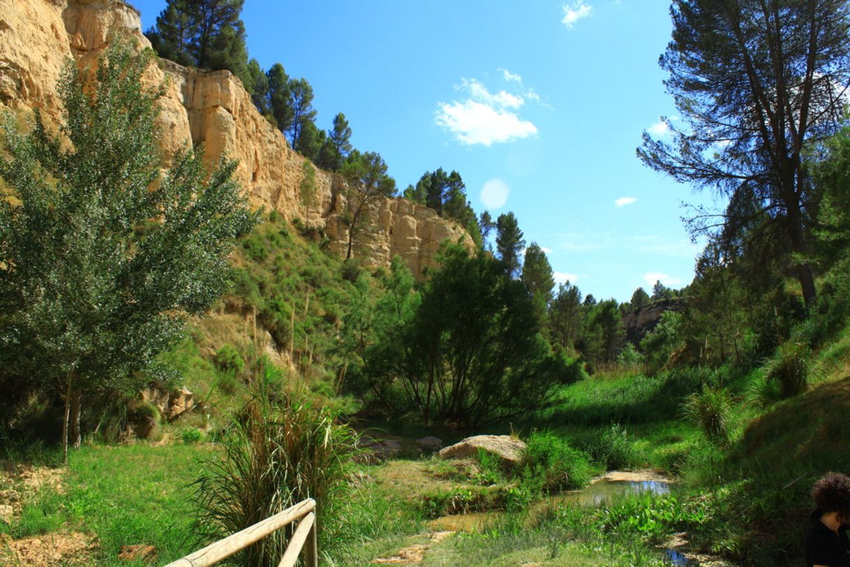 Lugar Fuente De Los Morenos