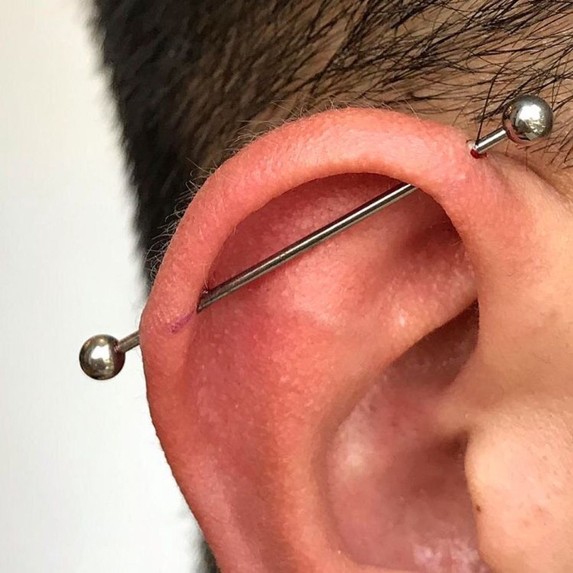 Social Piercing transversal