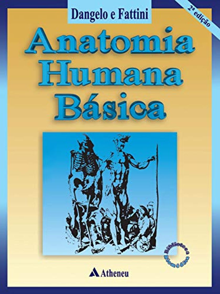 Book Anatomia Humana Básica