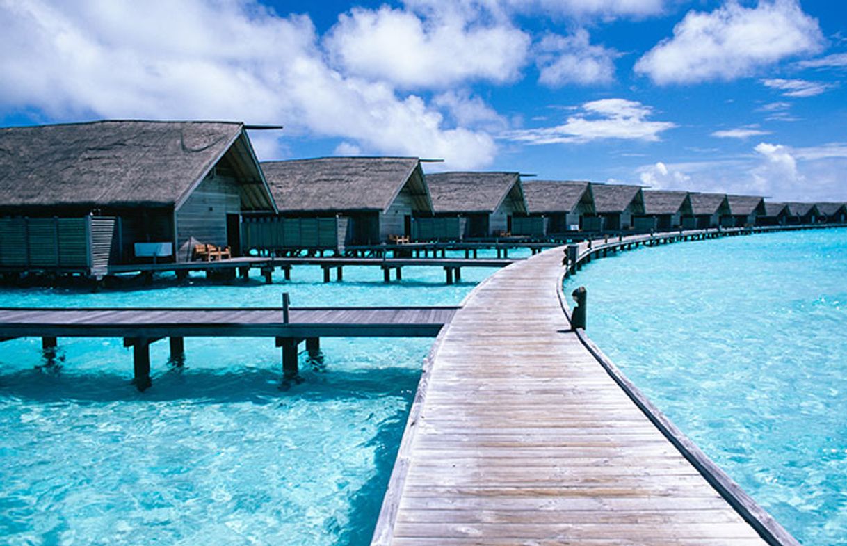 Social Resort de luxo