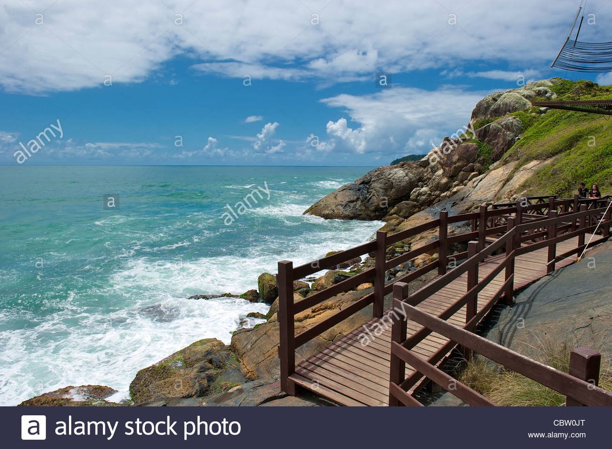 Lugar Praia do Santinho