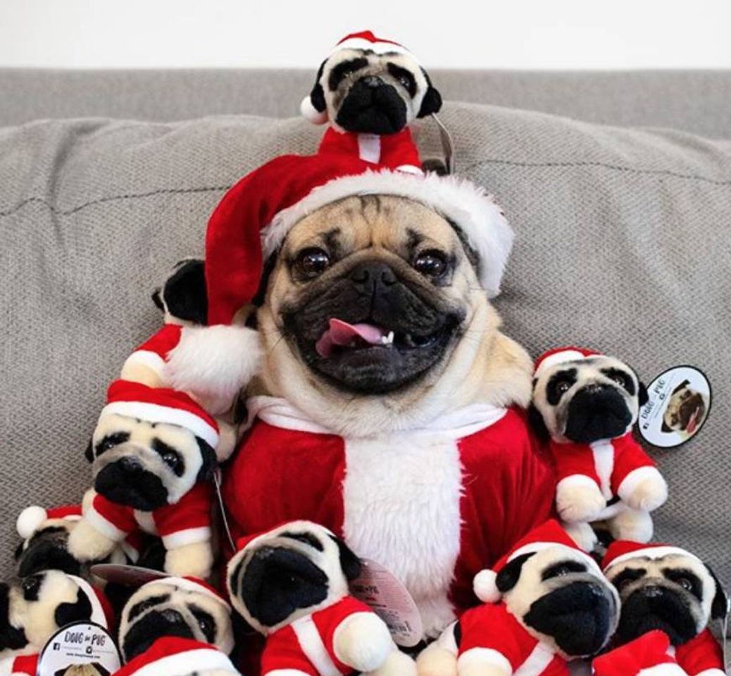 Moda Cachorrinho de natal