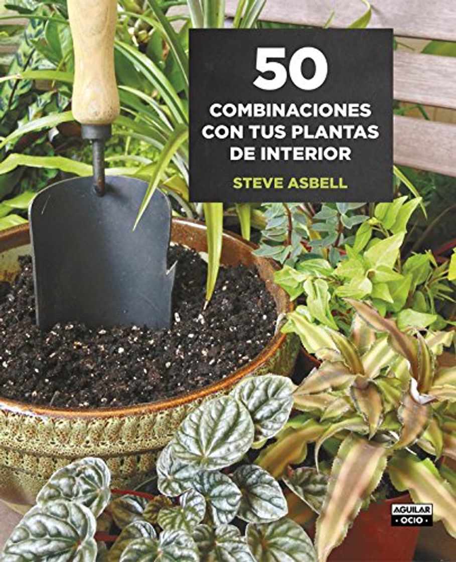 Product 50 combinaciones con tus plantas de interior