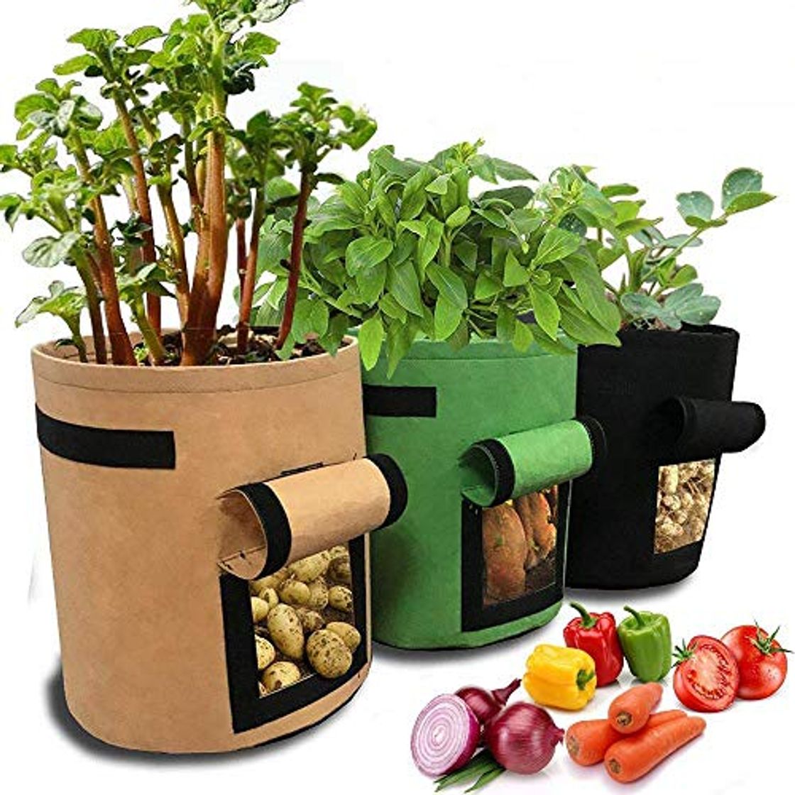 Productos PETEMOO Bolsa de Cultivo de Plantas, 3 Piezas