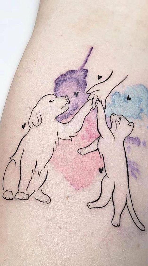 Moda Tatoo do seu bichinho