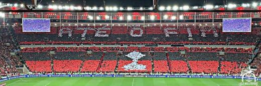 adidas Men's CR Flamengo Home Jersey 2020-21