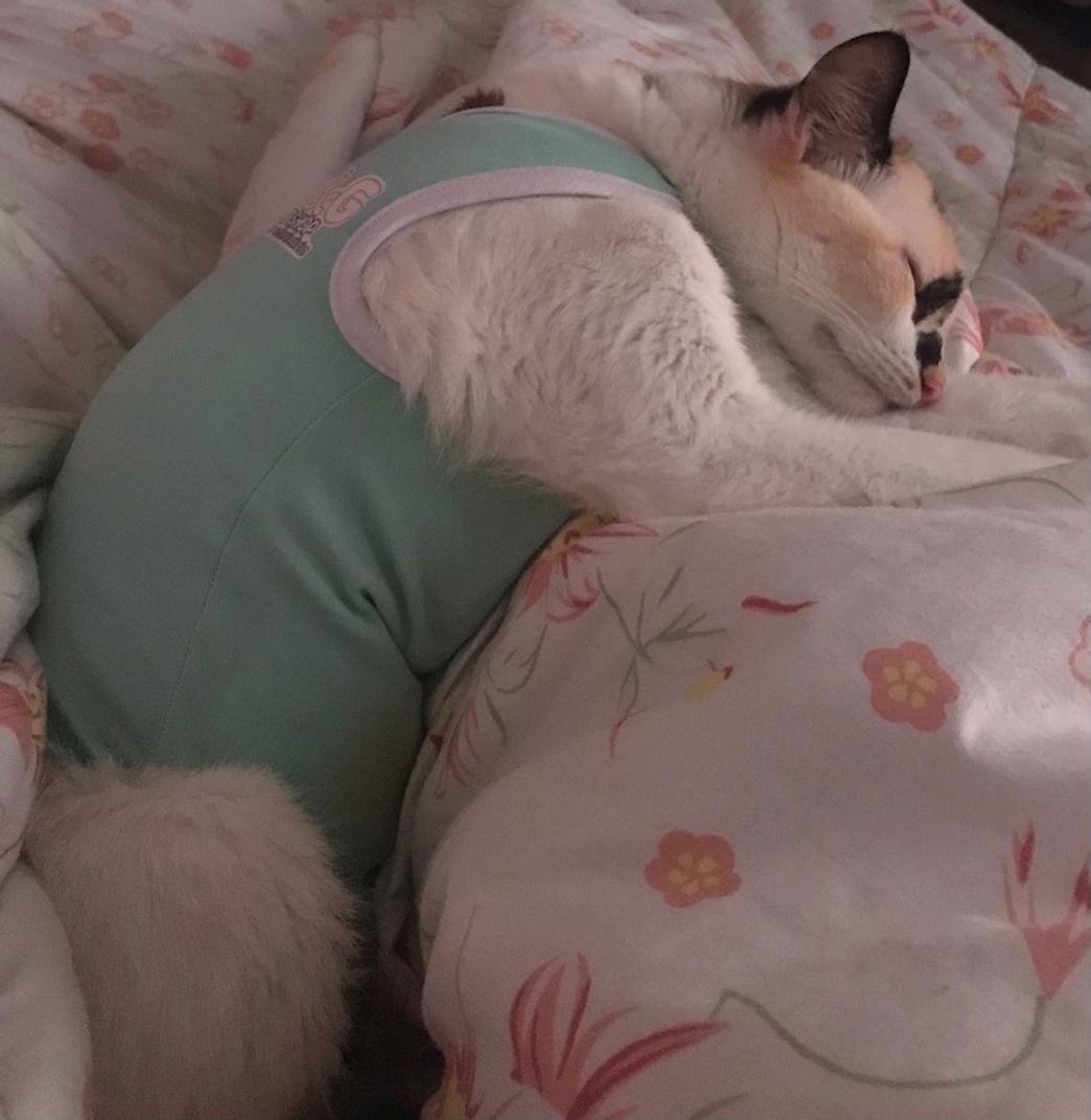 Restaurantes Sodiê Doces