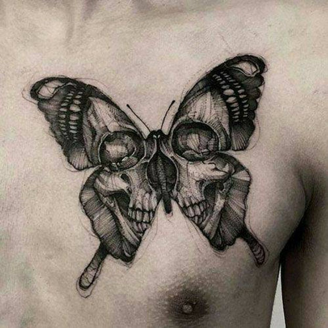 Moda butterfly skull