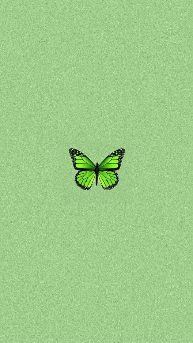 Moda green butterfly 💚🦋