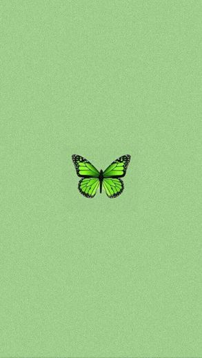 green butterfly 💚🦋