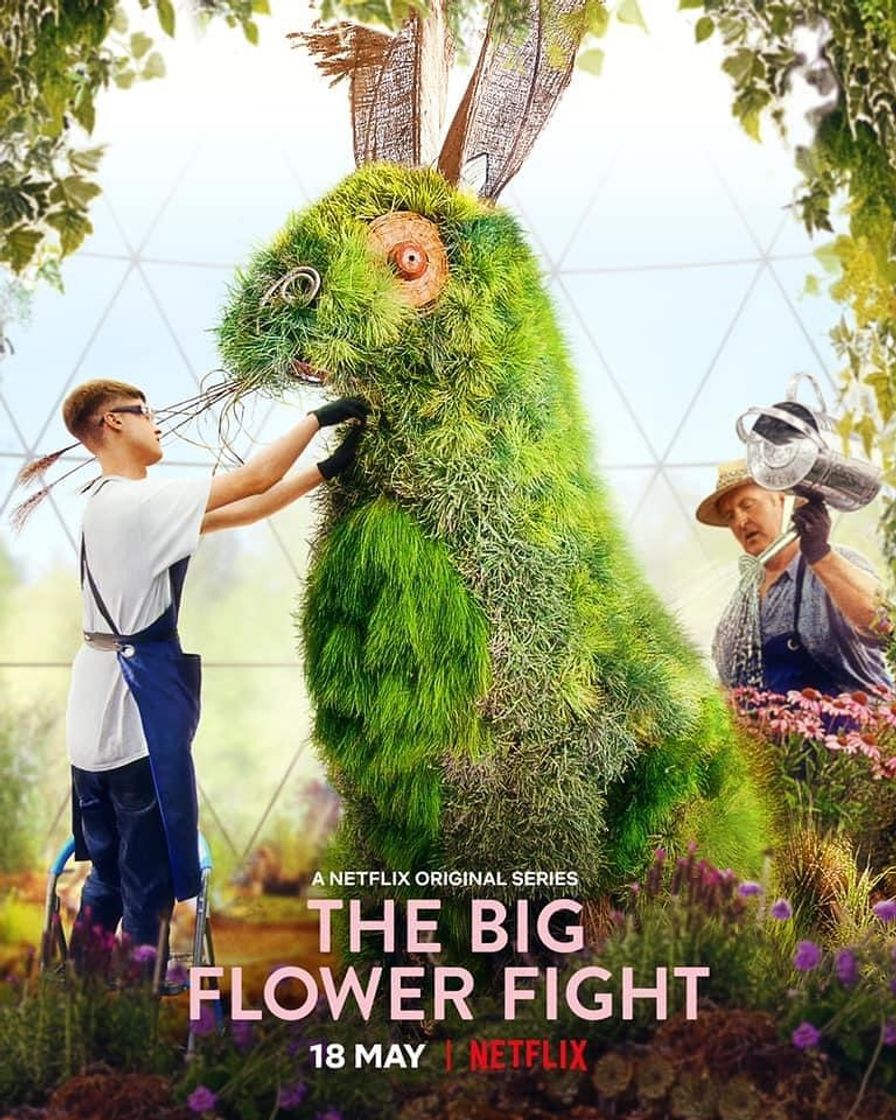 Serie The Big Flower Fight (@bigflowerfight) • Instagram photos and videos