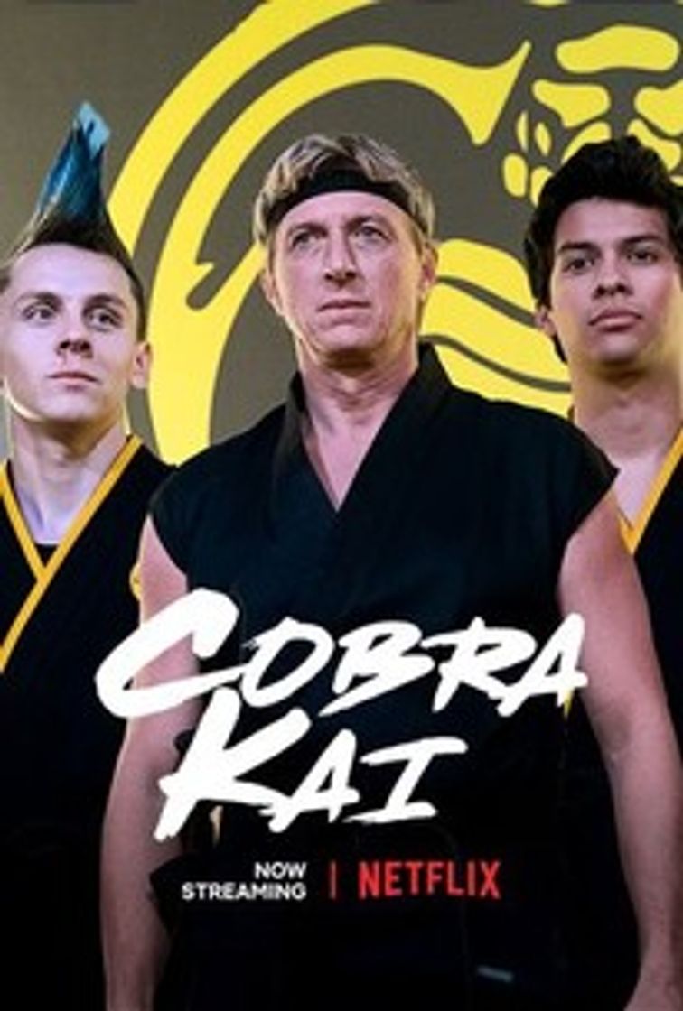 Fashion Cobra Kai