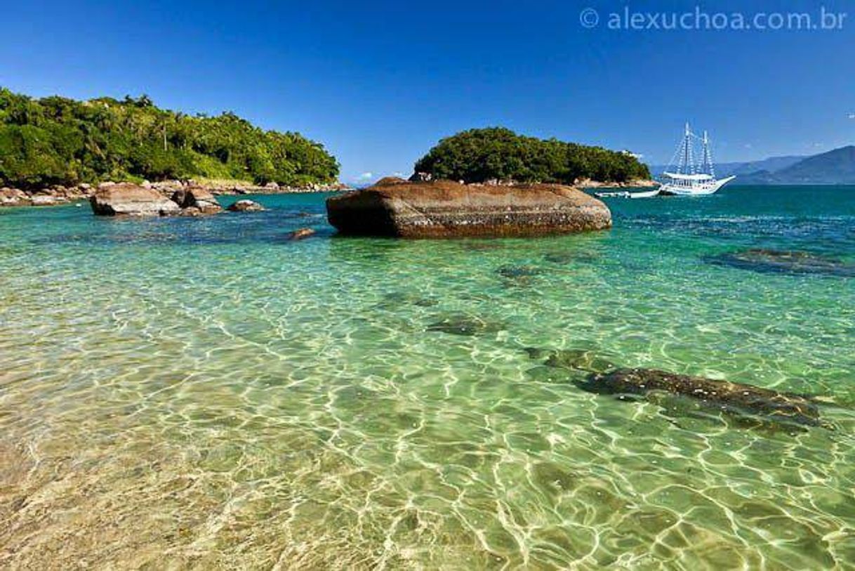 Lugar Ilha das couves