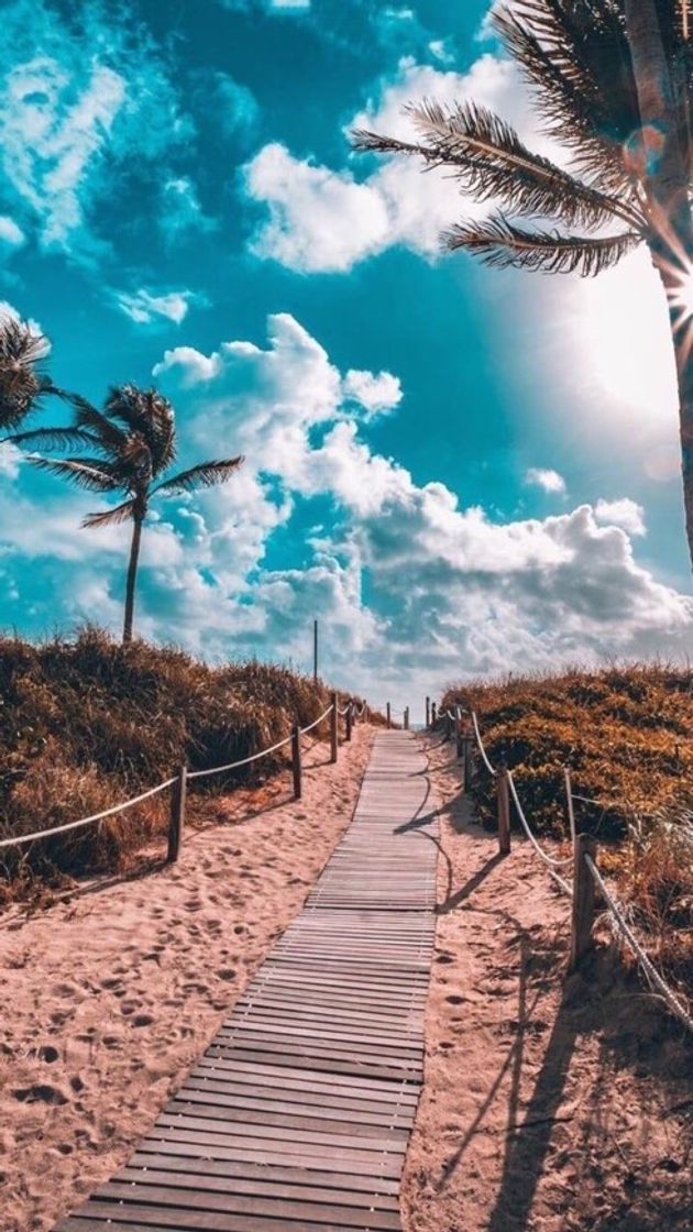 Social Wallpaper 