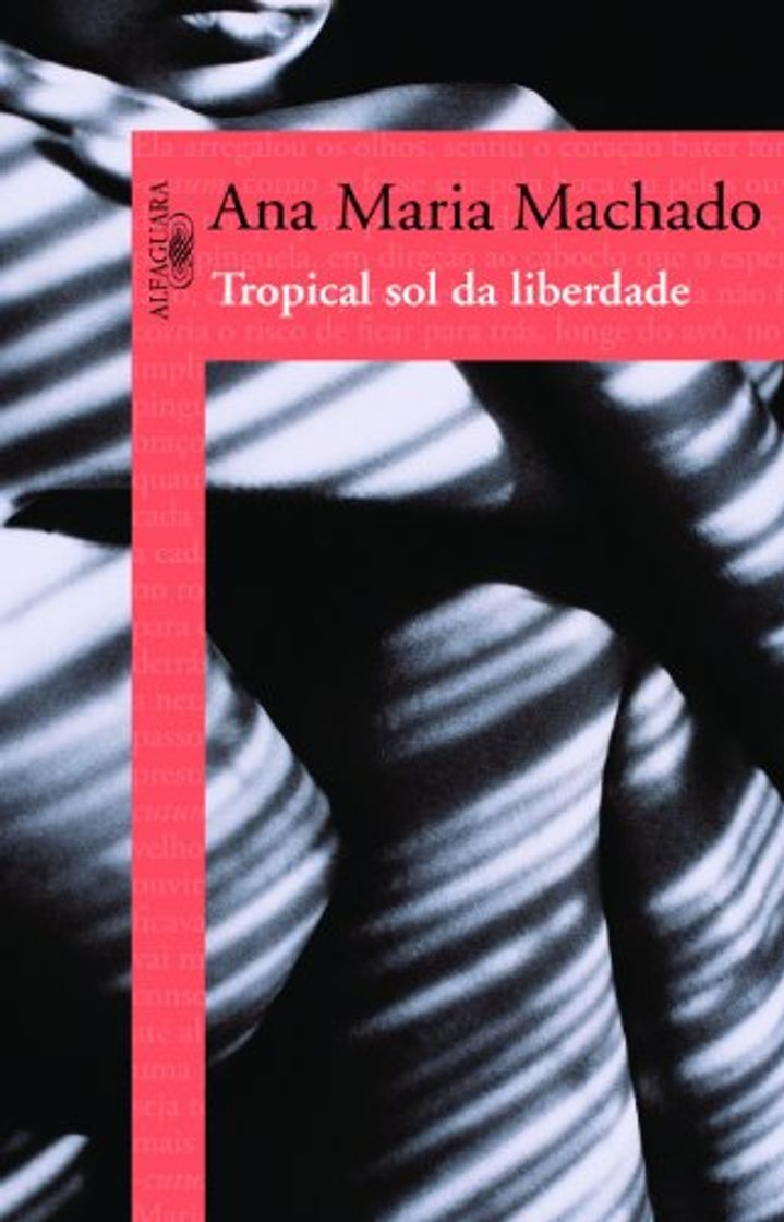 Book Tropical Sol Da Liberdade