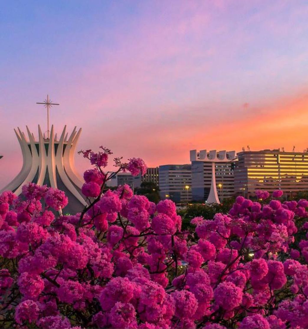 Place Catedral de Brasilia