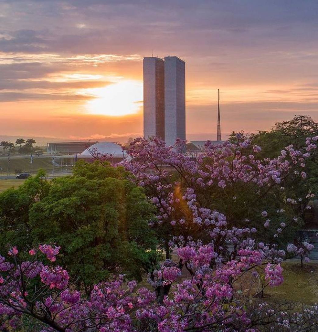 Lugar Esplanada dos Ministérios