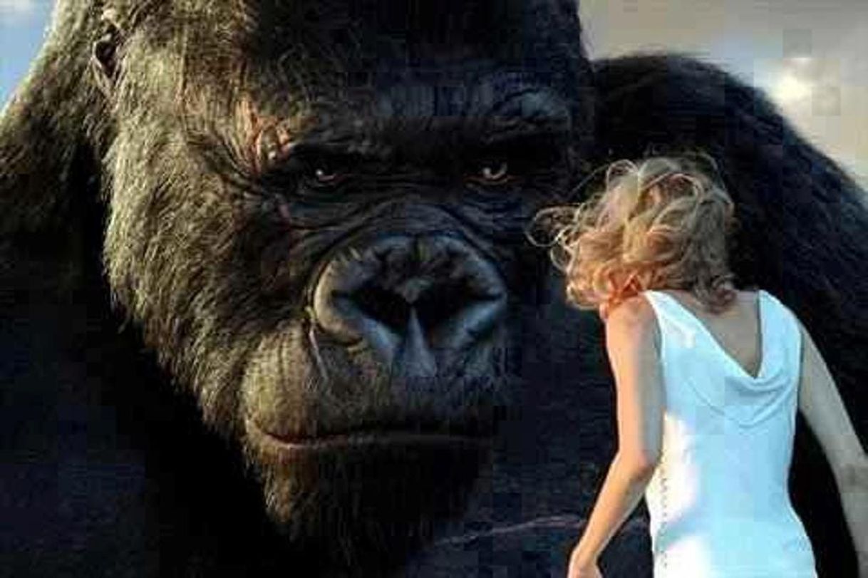 Movies Kingkong