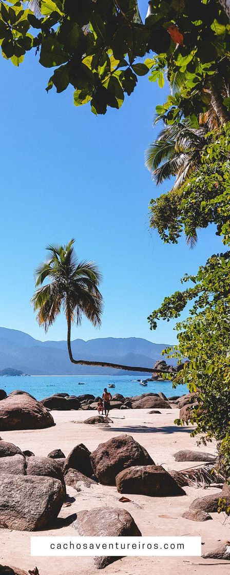 Lugar Ilha grande