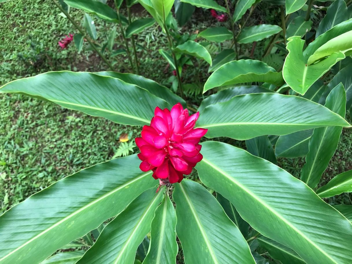 Lugar Ubatuba