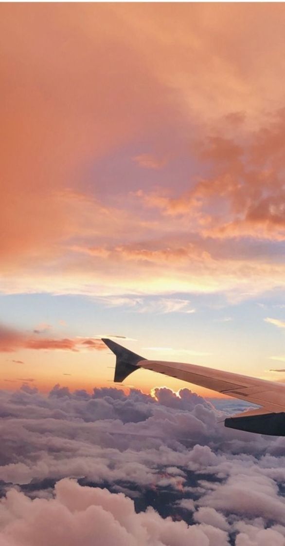 Social Avião ✈️ 