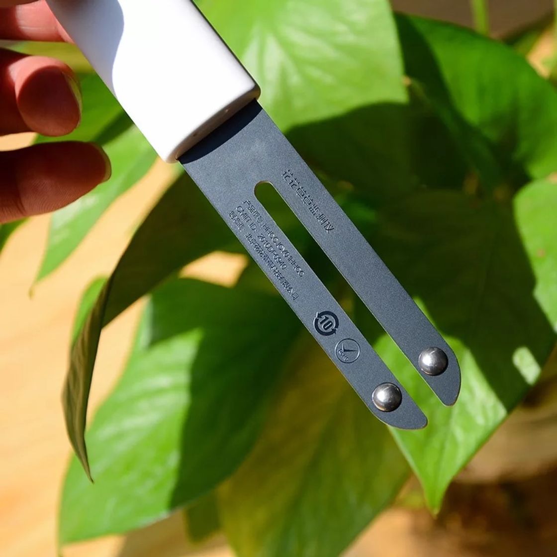 Social Sensor plantas 
