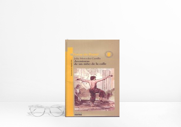 Book Aventuras De UN Nino De LA Calle