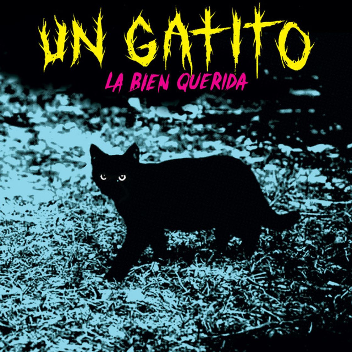 Canciones Un Gatito