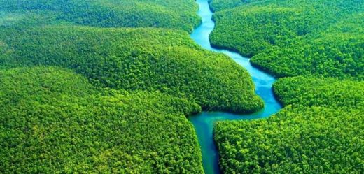 A Amazônia Selvagem