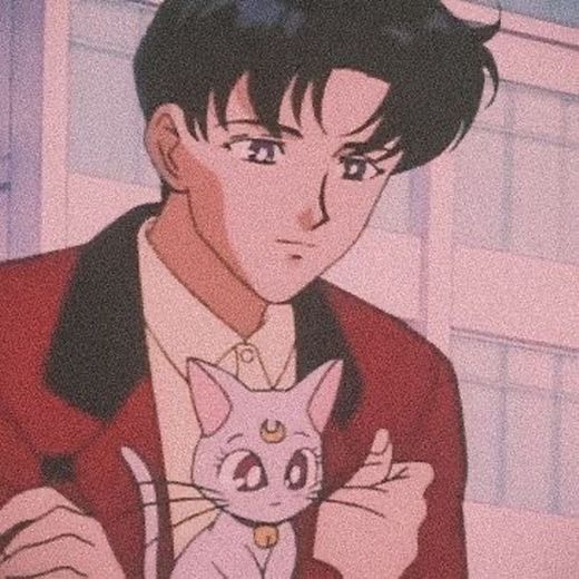 Sailor Moon 🌸🌙⭐️