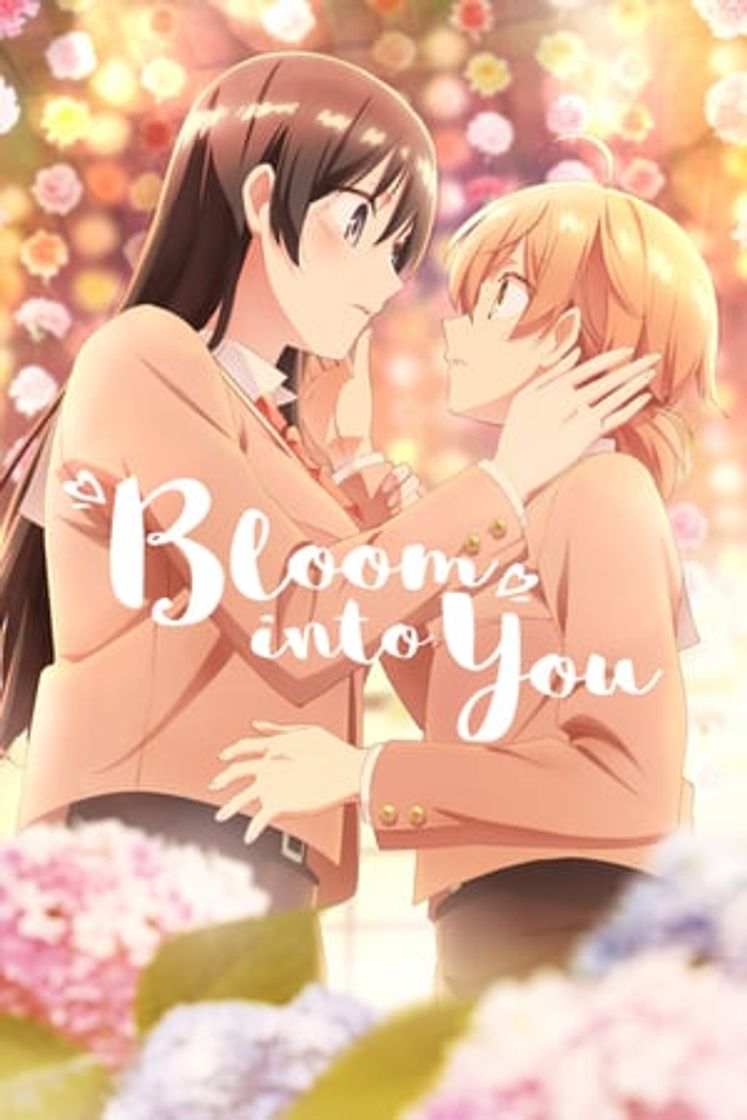 Serie Yagate Kimi ni Naru