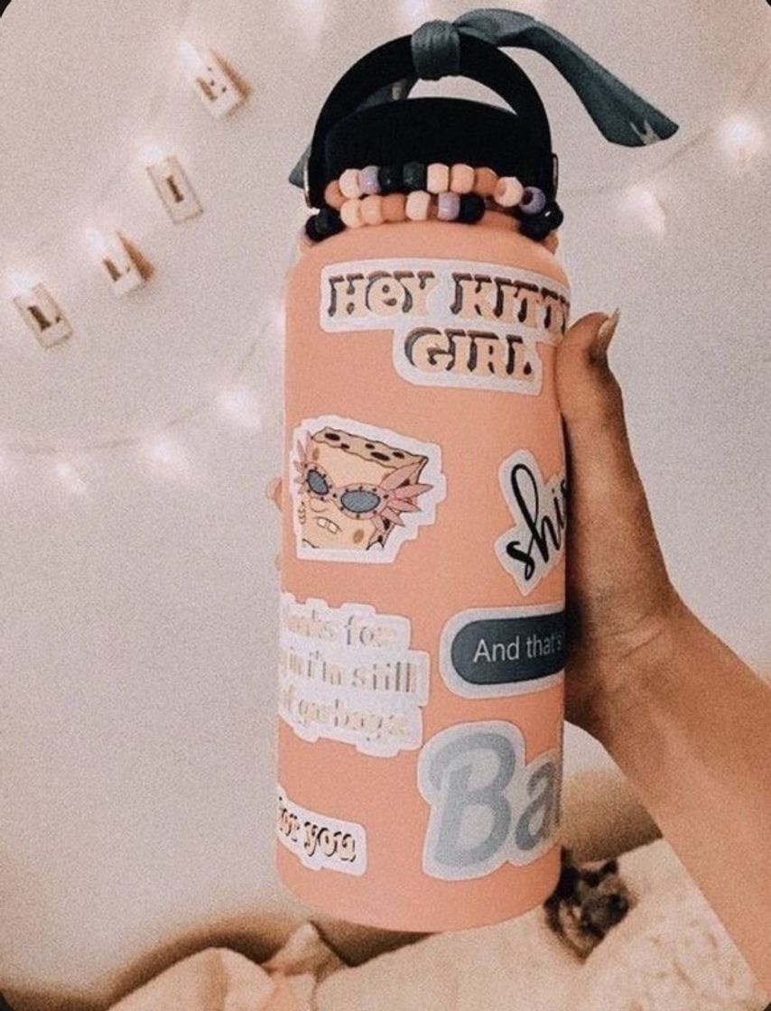 Moda Toda vsco girl tem uma hydro flasks 