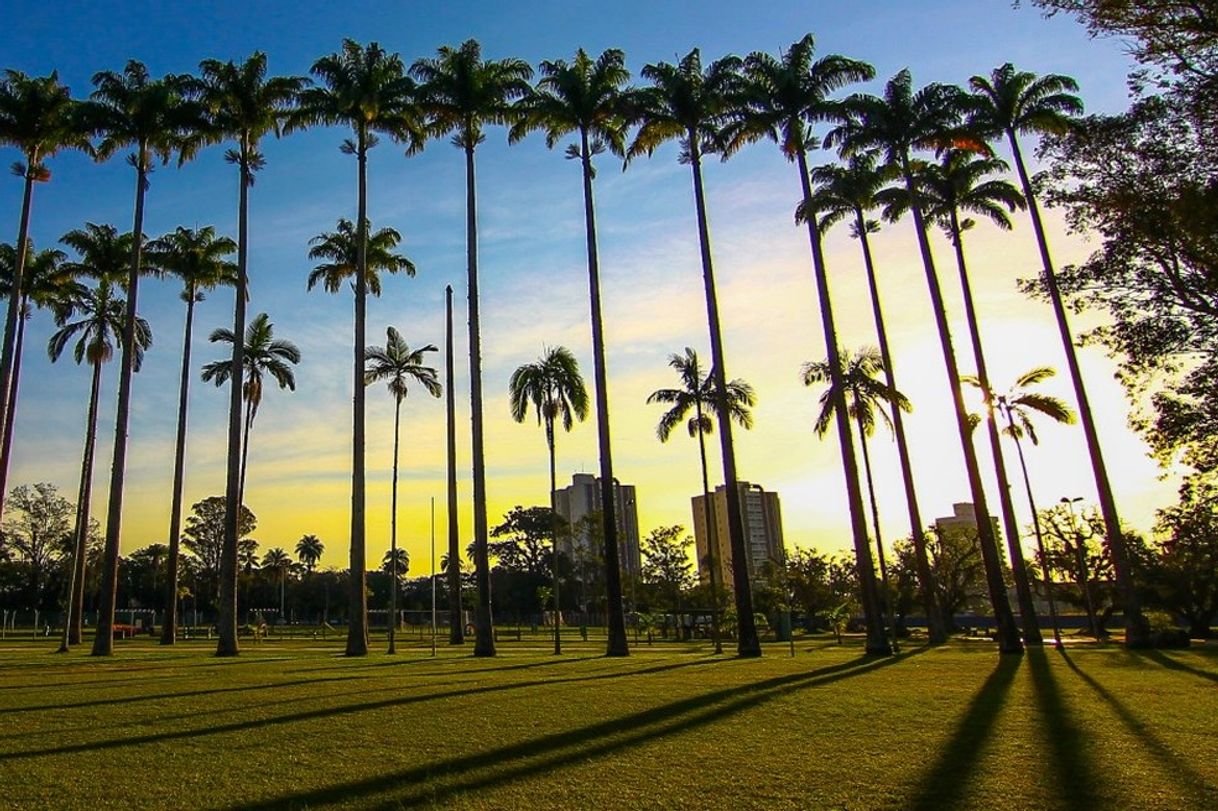 Place Parque Da Cidade - São José Dos Campos
