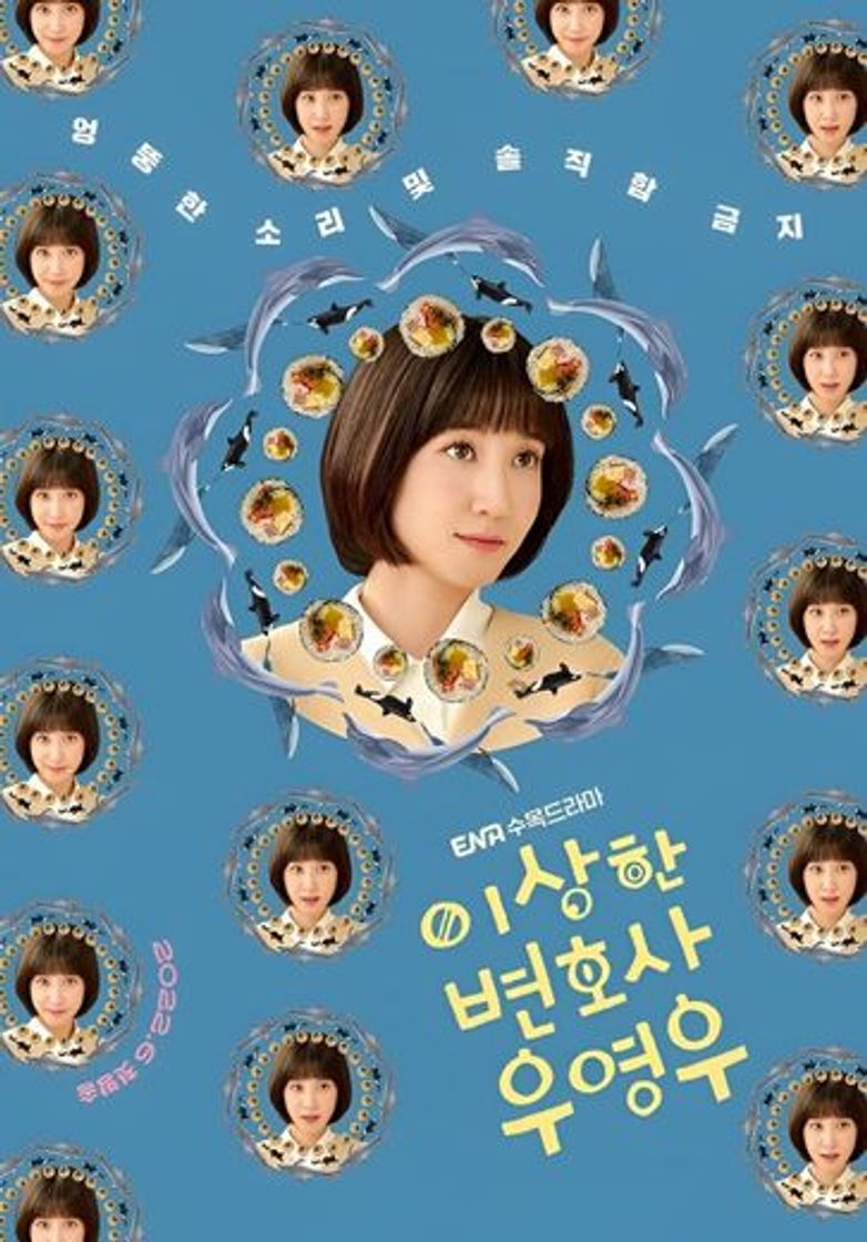 Serie Woo, Una Abogada Extraordinaria