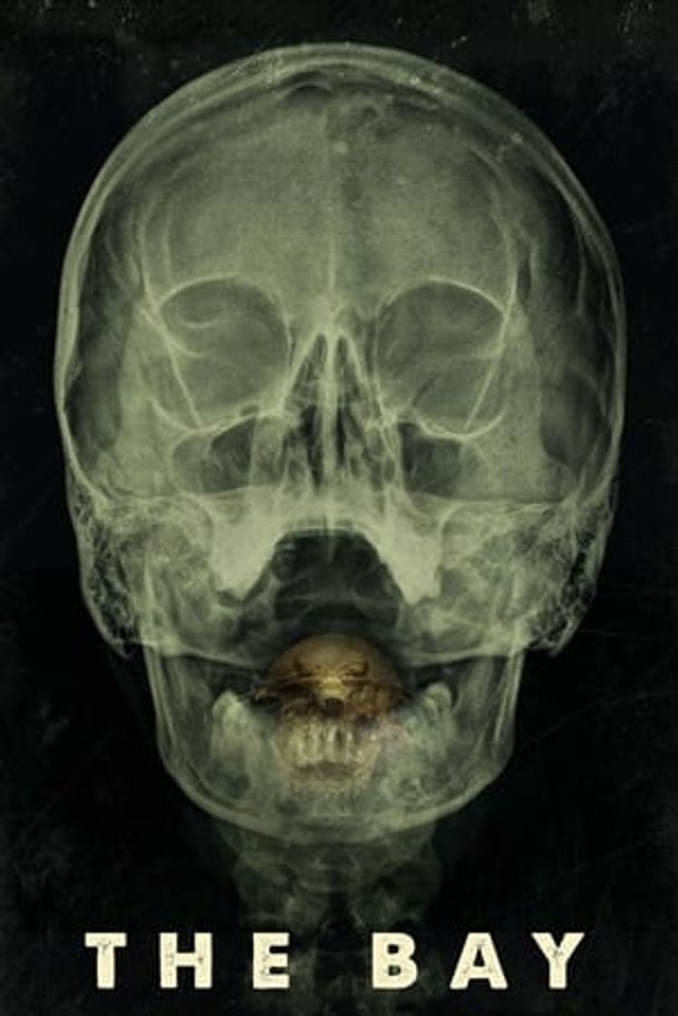Movie The Bay
