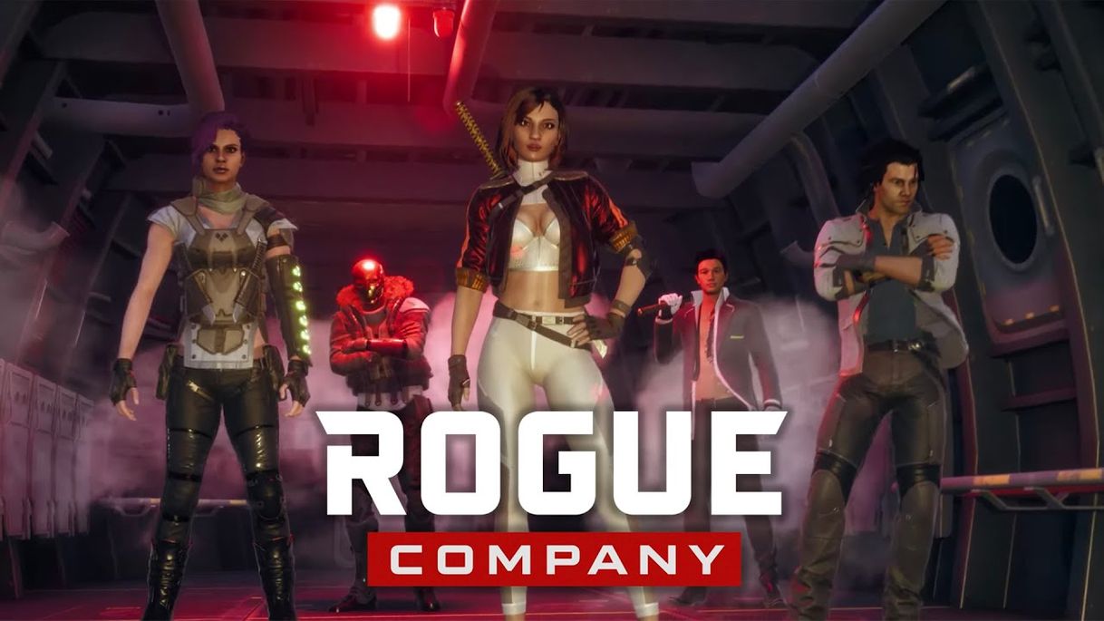 Fashion Rogue company