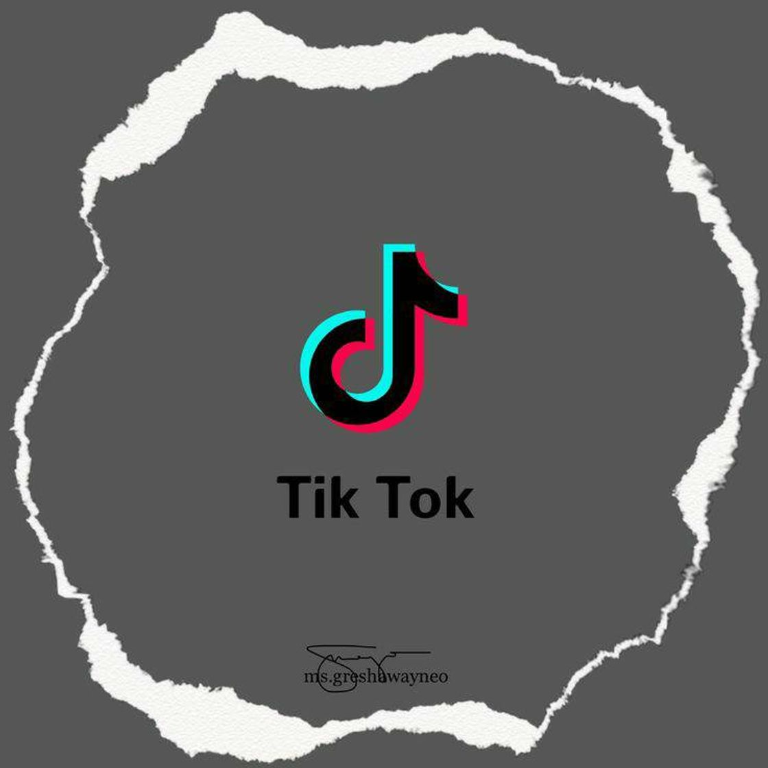 App TikTok + meu perfil