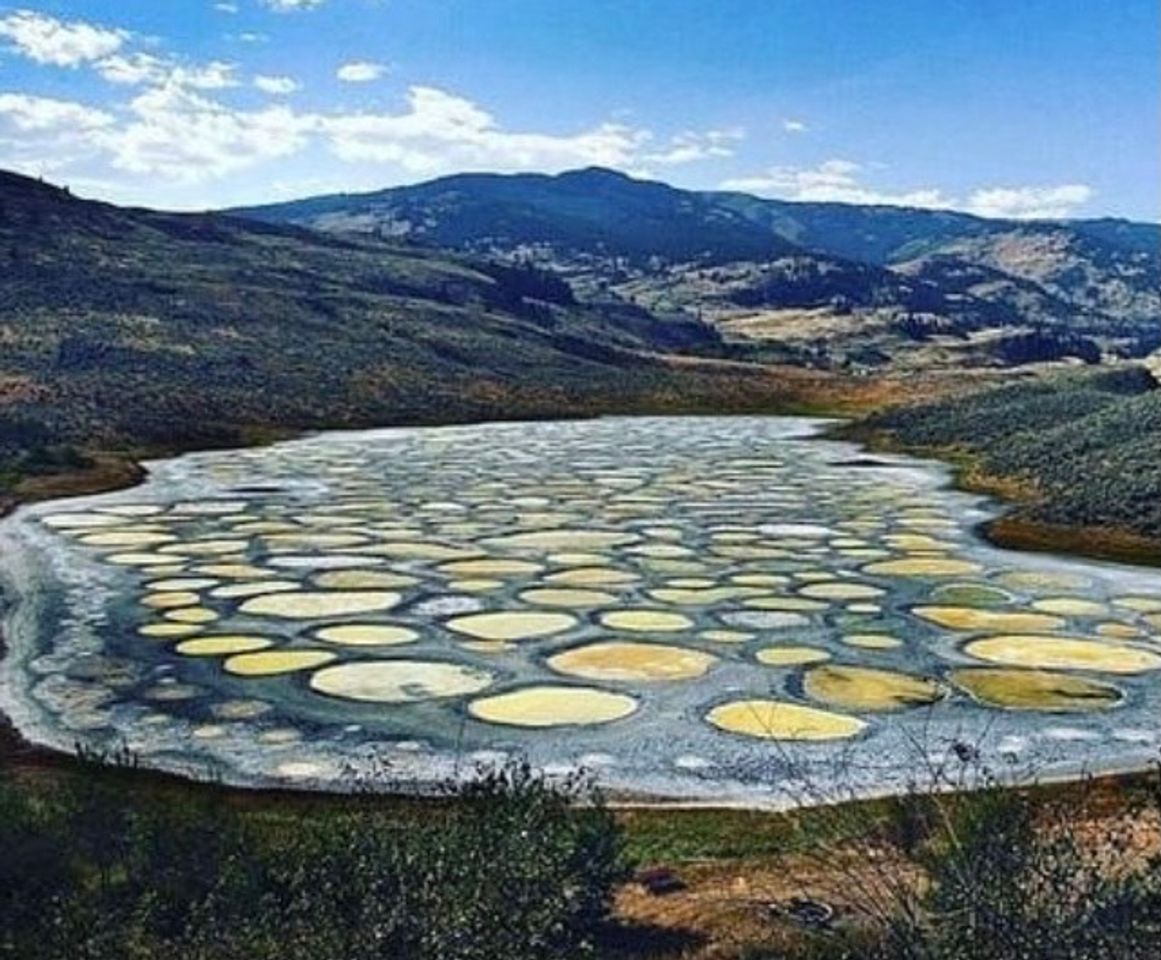 Lugar Spotted Lake