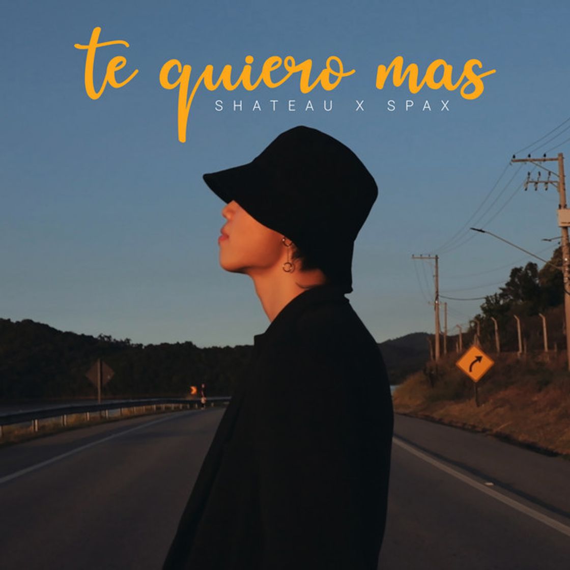 Canción Te Quiero Mas