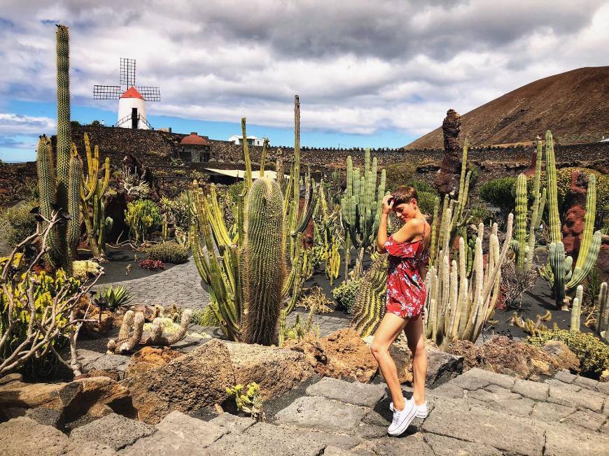 Lugar Jardín de Cactus de Lanzarote