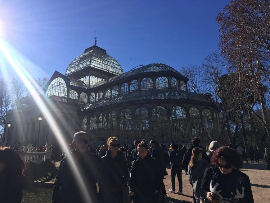 Lugar Palacio de Cristal