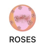 Social Filtro de flores con labios gordos